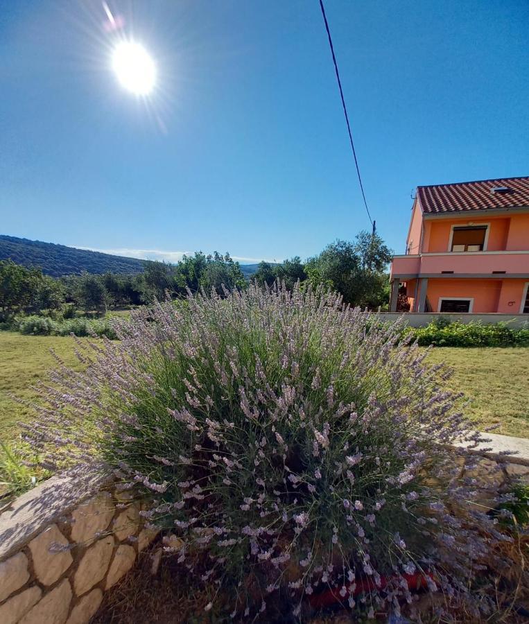 Apartman Stela Διαμέρισμα Ραμπ Εξωτερικό φωτογραφία