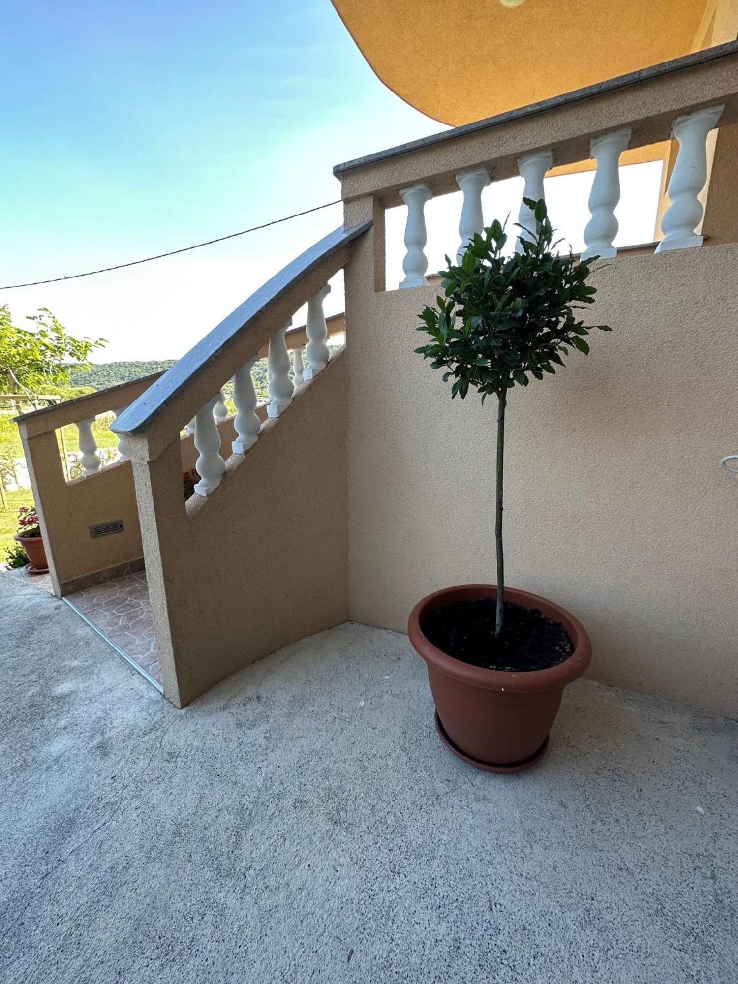 Apartman Stela Διαμέρισμα Ραμπ Εξωτερικό φωτογραφία