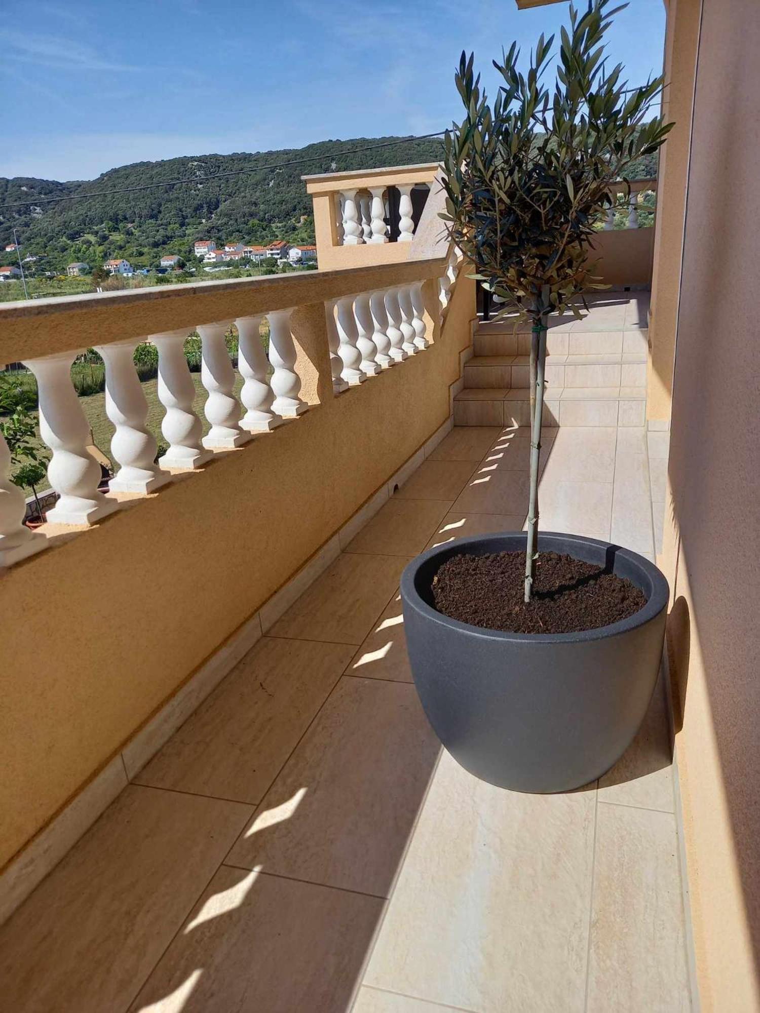 Apartman Stela Διαμέρισμα Ραμπ Εξωτερικό φωτογραφία